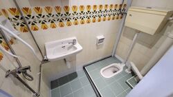 Dunearn Road (D11), Condominium #594073391